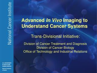 Advanced In Vivo Imaging to Understand Cancer Systems