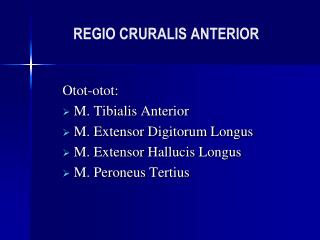 REGIO CRURALIS ANTERIOR