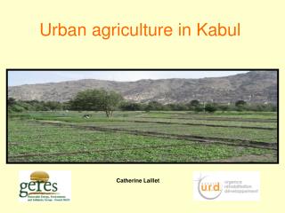 Urban agriculture in Kabul