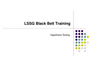 LSSG Black Belt Training