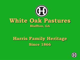 White Oak Pastures Bluffton, GA