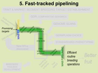 GENOME SCANS