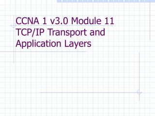 CCNA 1 v3.0 Module 11 TCP/IP Transport and Application Layers