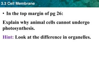 In the top margin of pg 26: Explain why animal cells cannot undergo photosynthesis.