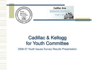 Cadillac &amp; Kellogg for Youth Committee 2006-07 Youth Issues Survey Results Presentation