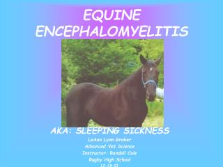 EQUINE ENCEPHALOMYELITIS