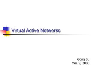 Virtual Active Networks