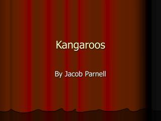 Kangaroos