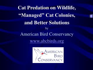 Cat Predation on Wildlife, “Managed” Cat Colonies, and Better Solutions by