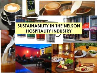 SUSTAINABILITY IN THE NELSON HOSPITALITY INDUSTRY