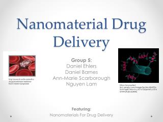 Nanomaterial Drug Delivery