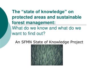 An SFMN State of Knowledge Project