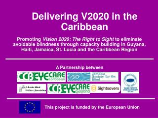 Delivering V2020 in the Caribbean