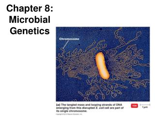 Chapter 8: Microbial Genetics