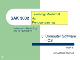 SAK 3002