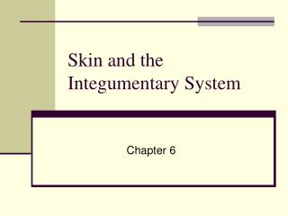 Skin and the Integumentary System