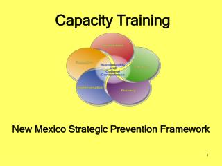 Capacity Training