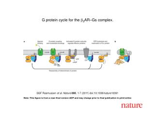 SGF Rasmussen et al. Nature 000 , 1-7 (2011) doi:10.1038/nature10361