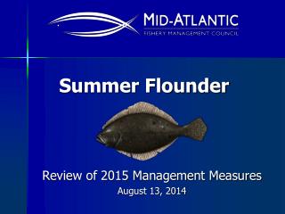 Summer Flounder