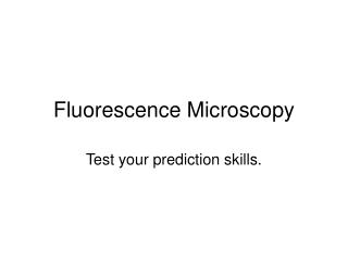 Fluorescence Microscopy