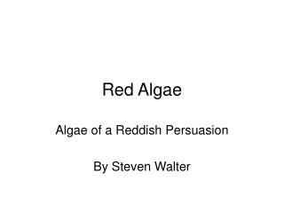 Red Algae