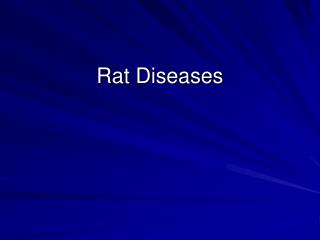 Rat Diseases