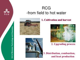 RCG -from field to hot water