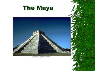 The Maya