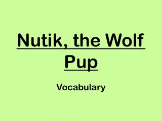 Nutik, the Wolf Pup