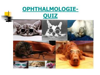 OPHTHALMOLOGIE- QUIZ