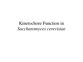 Kinetochore Function in Saccharomyces cerevisiae