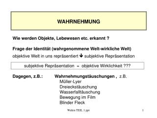 WAHRNEHMUNG