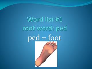 Word list #1 root word: ped