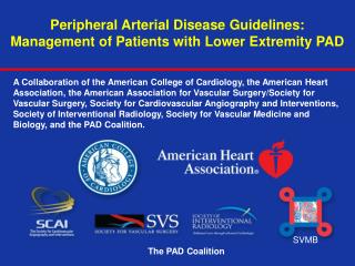 Peripheral Arterial Disease Guidelines: Management of Patients with Lower Extremity PAD