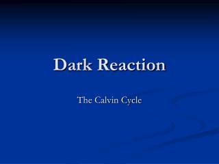 Dark Reaction