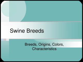 Swine Breeds