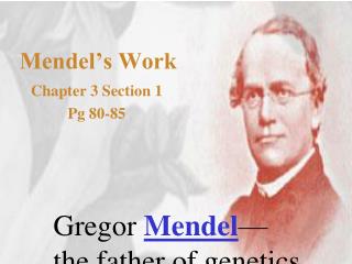 Mendel’s Work