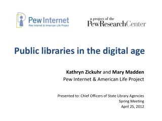 Public libraries in the digital age