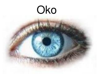 Oko