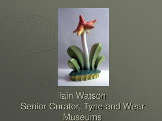 Iain Watson Senior Curator, Tyne and Wear Museums