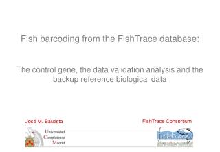 Fish barcoding from the FishTrace database: