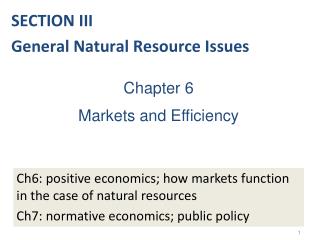 Chapter 6 Markets and Efficiency