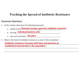 Plasmid carrying a gene for antibiotic resistance