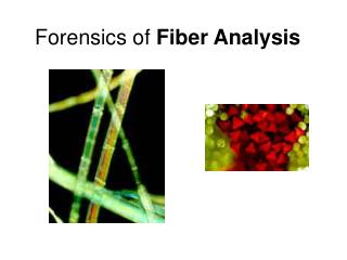 PPT - Forensics Of Fiber Analysis PowerPoint Presentation, Free ...