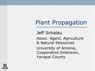 Plant Propagation