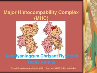 Major Histocompability Complex (MHC)