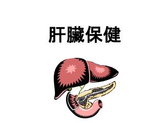 肝臟保健
