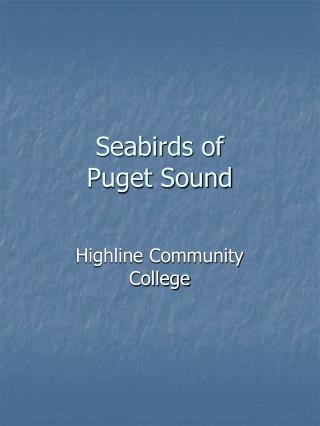 Seabirds of Puget Sound