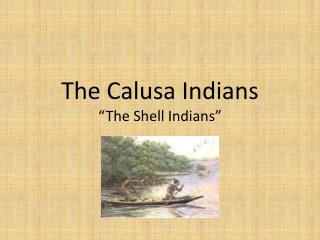 The Calusa Indians “The Shell Indians”