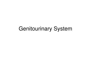 Genitourinary System